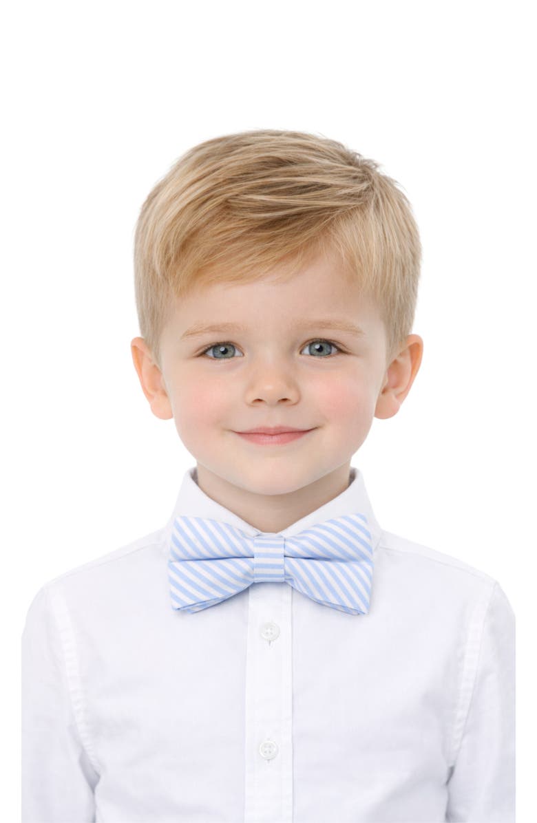 Bits & Bows Seersucker Bow Tie, Alternate, color, Blue