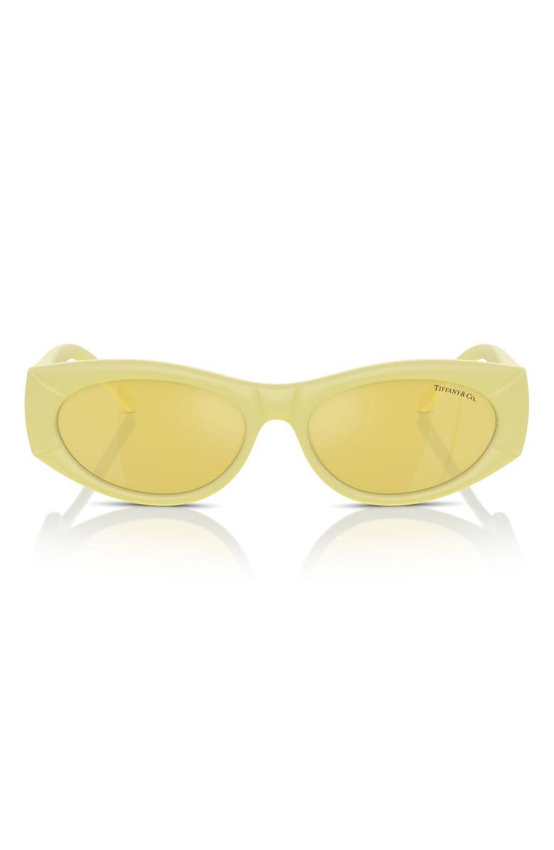 Tiffany & Co. 55mm Oval Sunglasses, Main, color, 