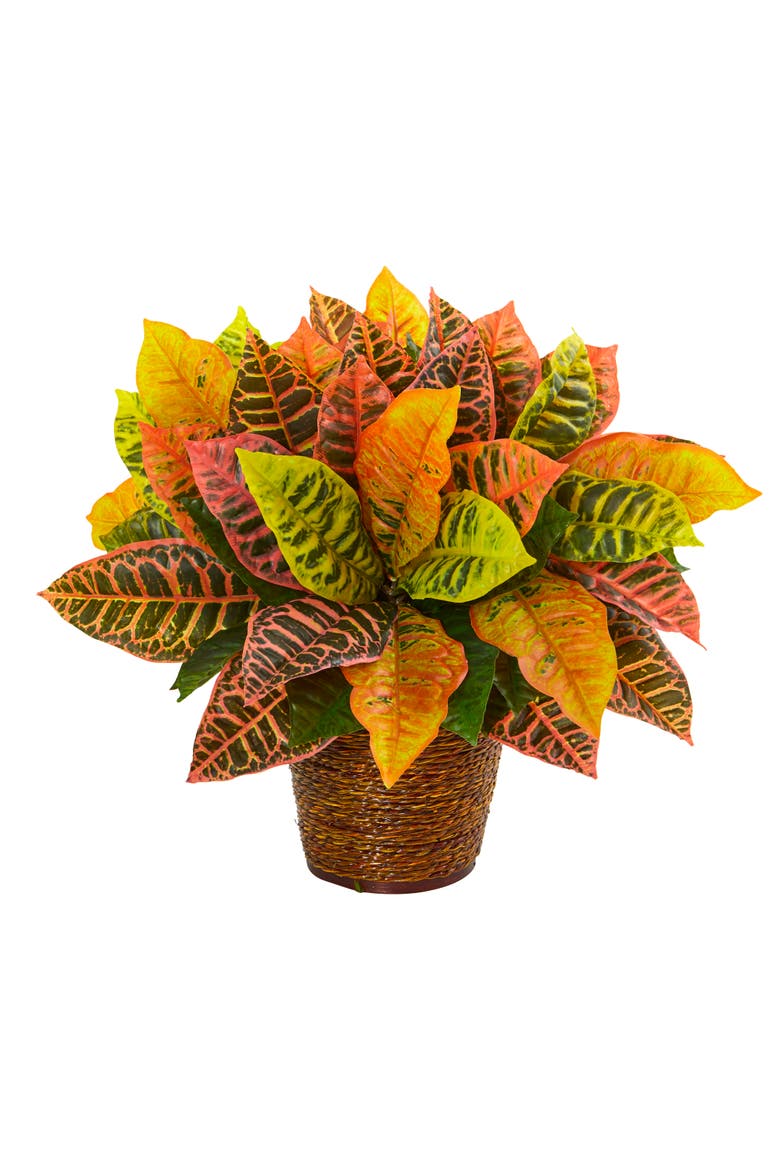 17-in Garden Croton Artificial Plant in Basket, Main, color, Orange