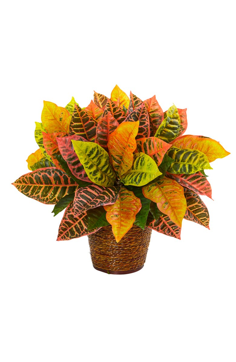 NEARLY NATURAL 17-in Garden Croton Artificial Plant in Basket, Main, color, Orange