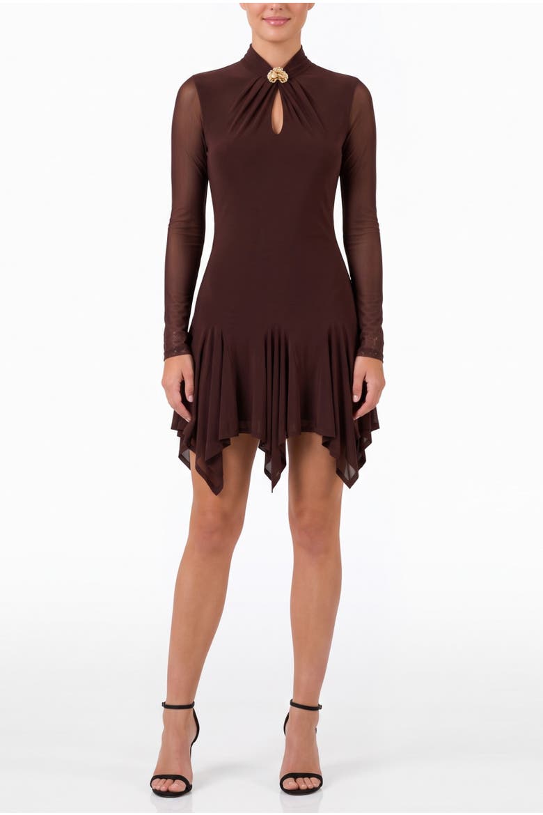 Giana Mesh Long Sleeve Mini Dress, Main, color, Rum Raisin
