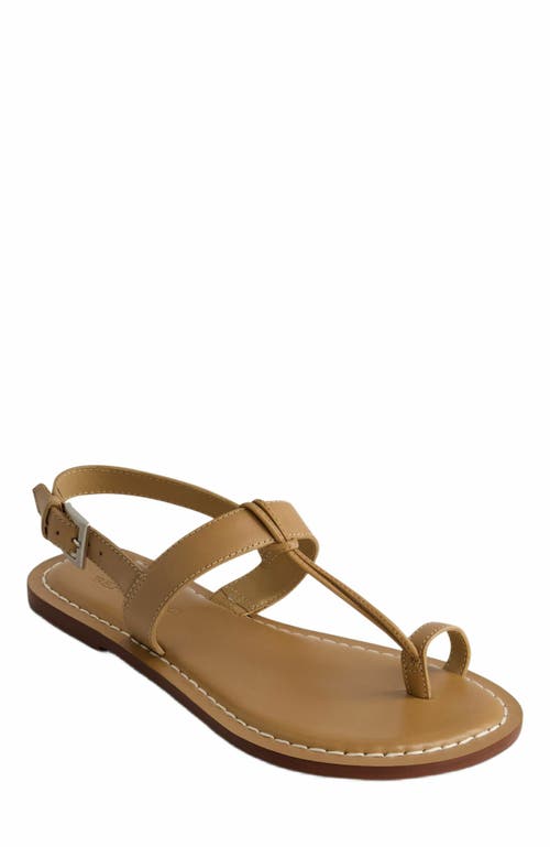 Bernardo Calfskin T-strap Slingback Sandals In Brown
