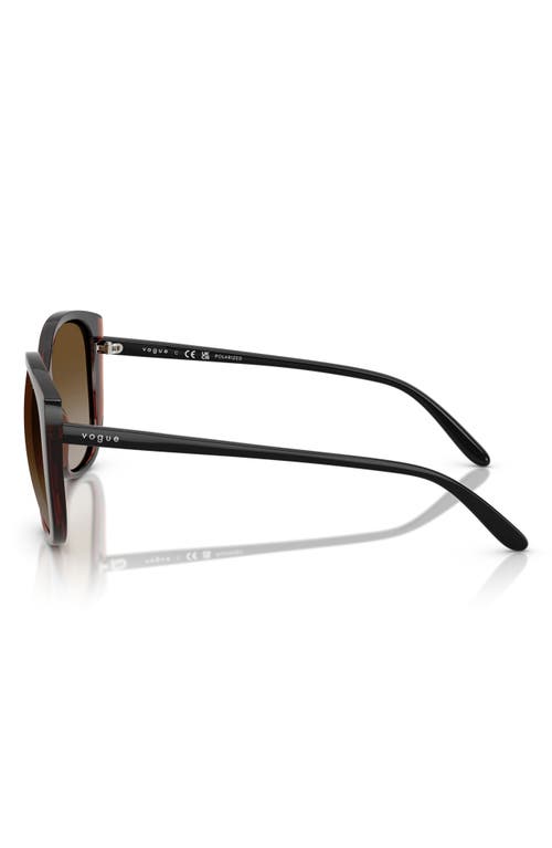 Vogue 55mm Polarized Gradient Butterfly Sunglasses