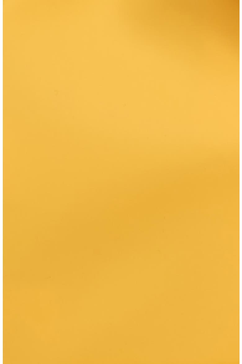 Yellow Waterproof Hooded Raincoat, Alternate, color, YELLOW