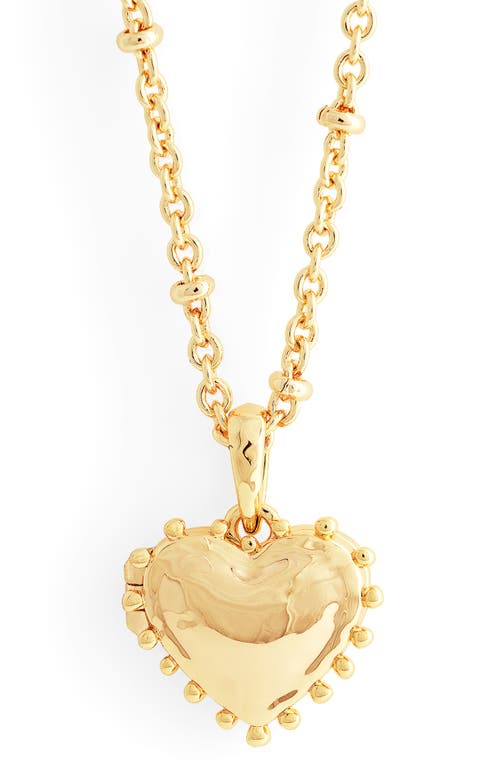 Anabel Aram Jewelry Small Heart Locket Necklace in Gold 