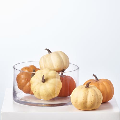 Darby Creek Trading Assorted Ombre Thanksgiving Harvest Pumpkin Set Of 6 In Orange