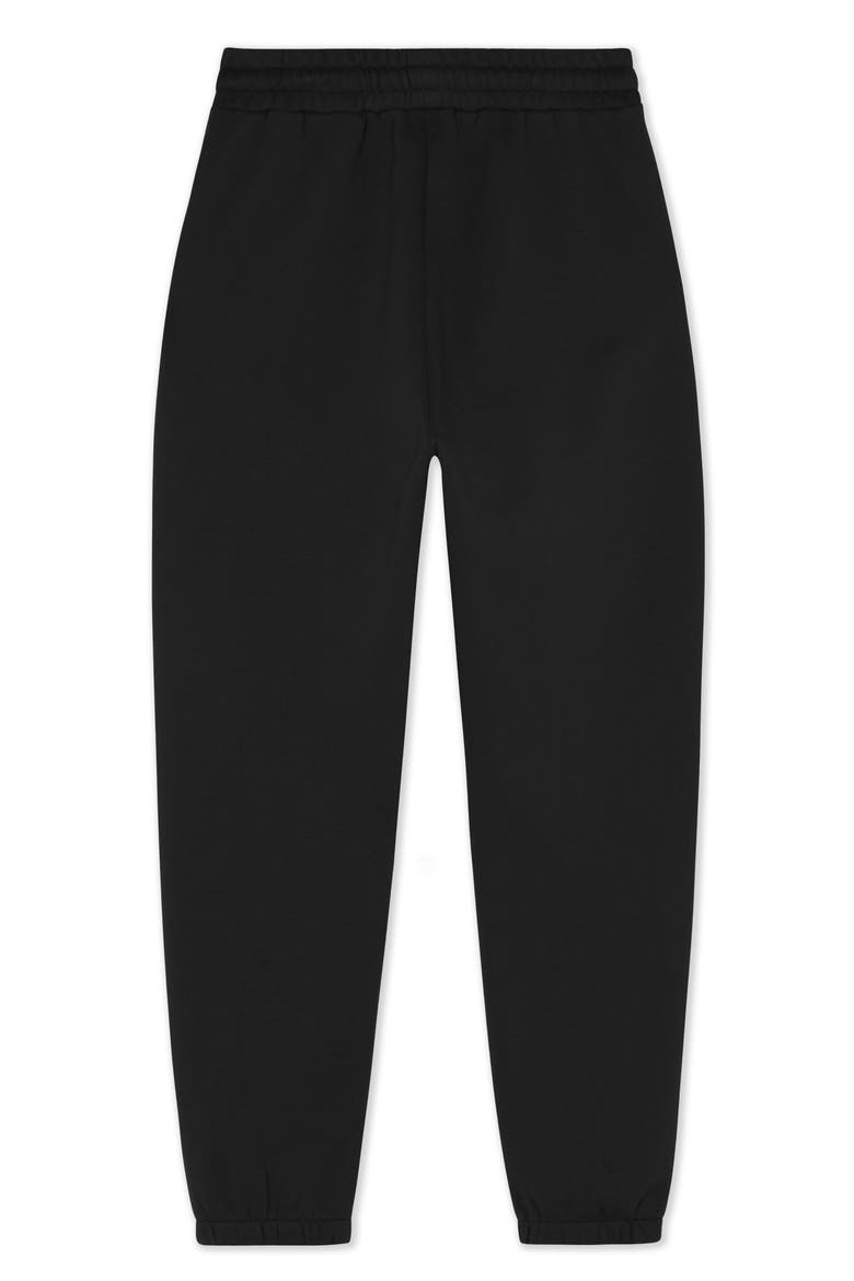 Ghost Midweight Fleece Regular Fit Track Pants, Alternate, color, Black