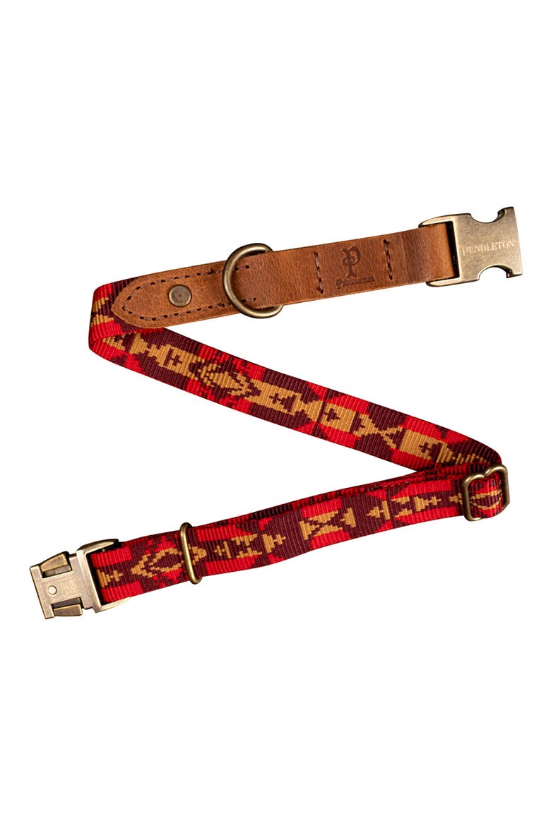 Heritage Dog Collar, Alternate, color, FOUR CORNERS