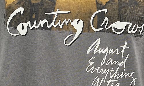 Wrangler Counting Crows Graphic T-shirt In Gray