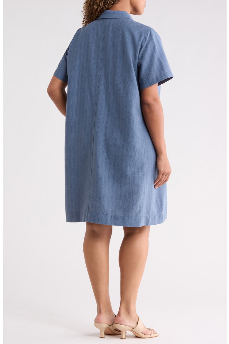 Pinstripe Shift Dress, Alternate, color, COLD SPRAY