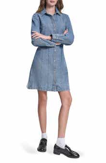 DKNY Jeans Seamed A-Line Dress