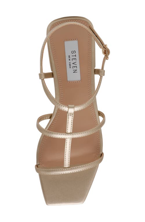STEVEN NEW YORK STEVEN NEW YORK HAPI CAGED SANDAL 