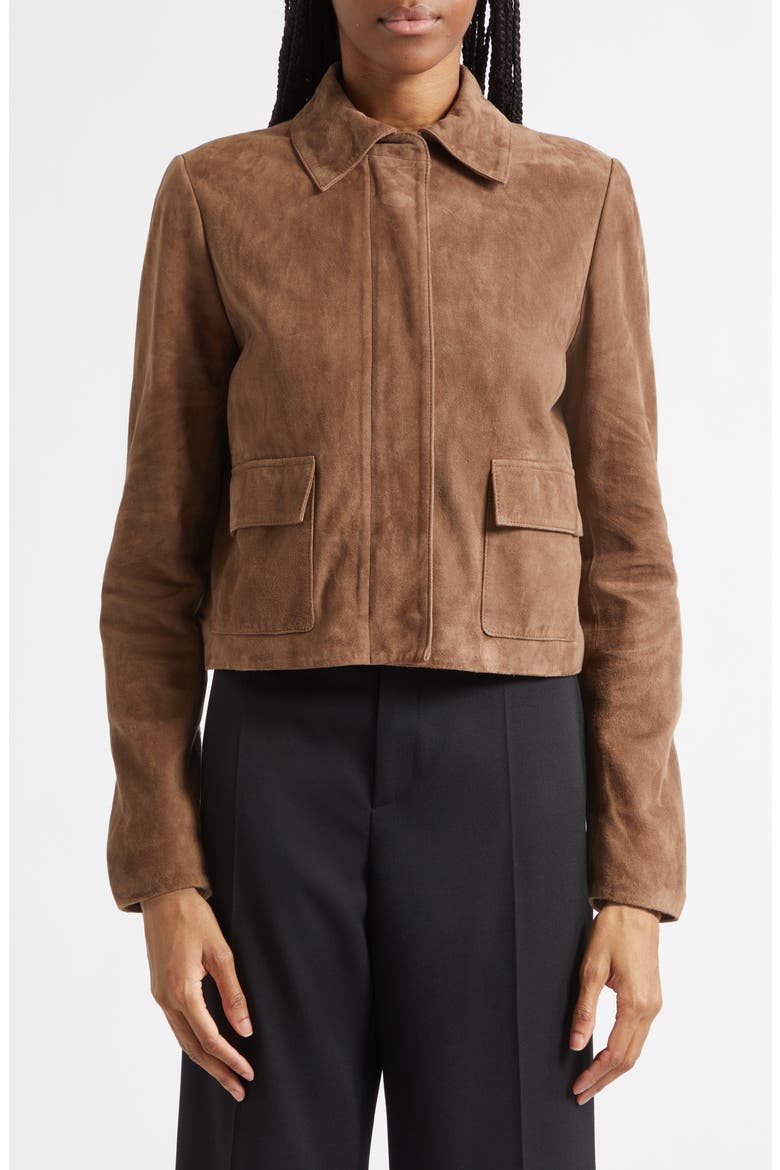 Dylan Suede Jacket, Alternate, color, TAUPE NEUTRAL
