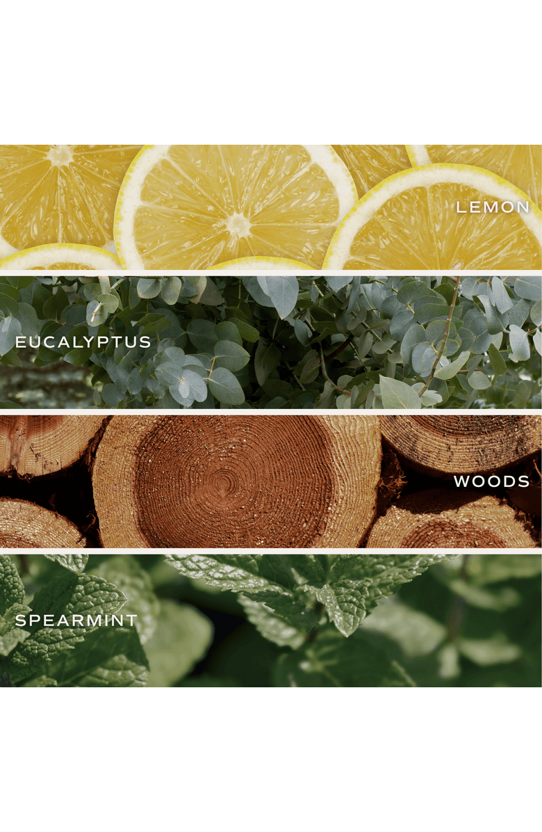 SWEET WATER DECOR Spring and Summer 15 oz Candles, Alternate, color, Stress Relief