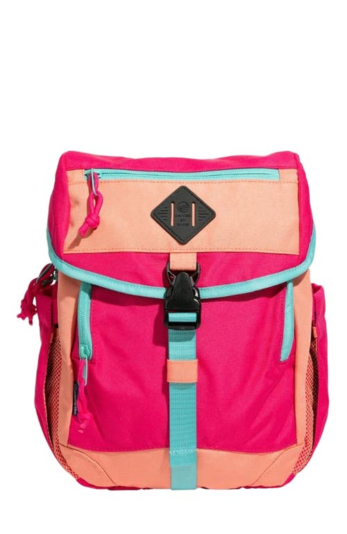 United By Blue (R)evolution 9L sidekick in Beet Root at Nordstrom