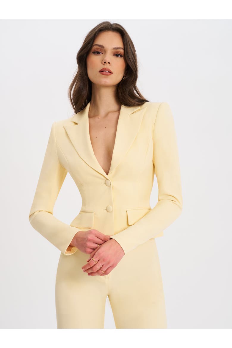 Quinne Tailored Business Casual Slim Blazer, Main, color, Yellow