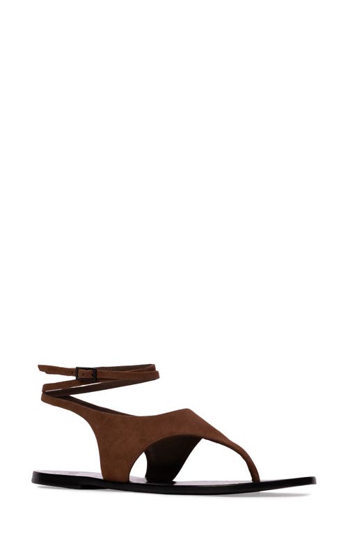 Black Suede Studio Suede Thong Flat Ankle-strap Sandals In Brown Suede
