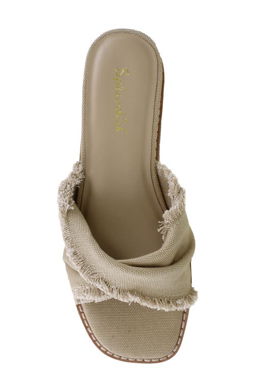 Splendid Brooklyn Slide Sandal In Natural
