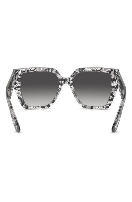 Dolce & Gabbana Dolce&gabbana 55mm Square Sunglasses In Black Lace