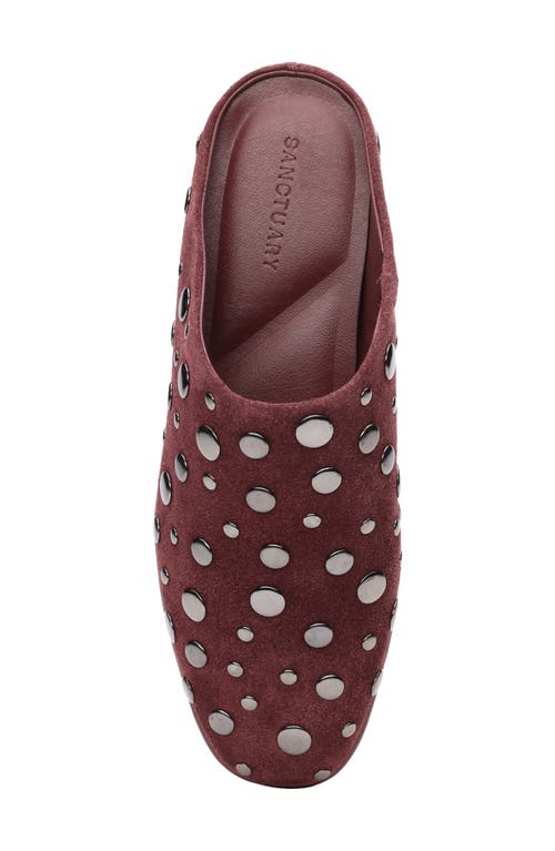 Sanctuary Bari Stud Mule In Brown
