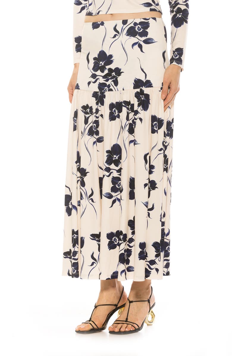 Alexia Admor Lia Low Rise Maxi Skirt, Alternate, color, Blue Floral
