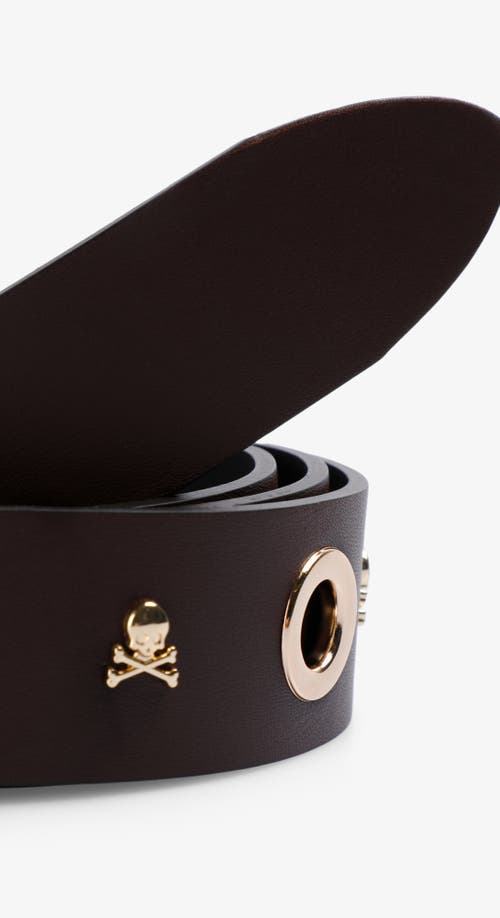 Scalpers Eyelet Skull Belt In Burgundy