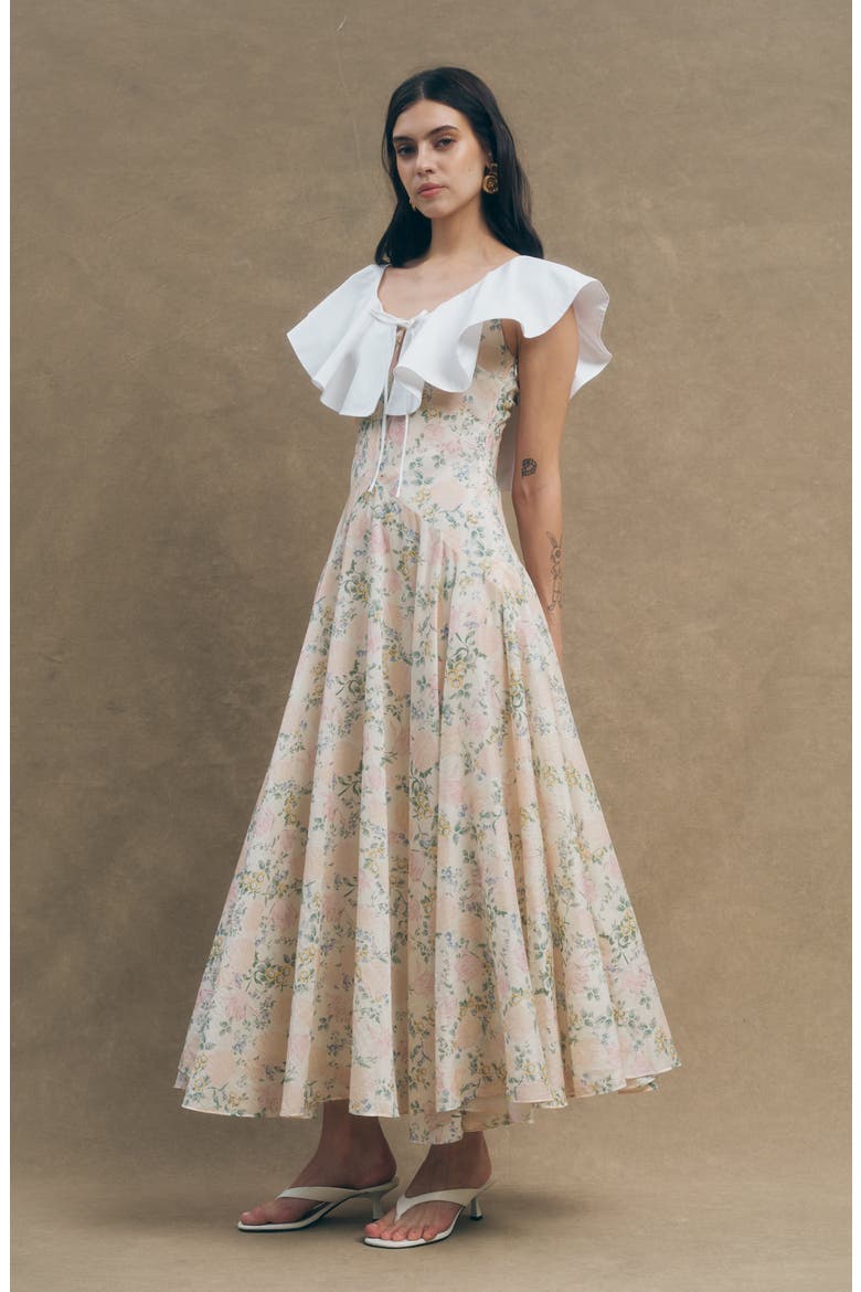 Fawn Floral Oversize Poplin Ruffle Collar Dress, Alternate, color, VINTAGE FLORAL PRINT