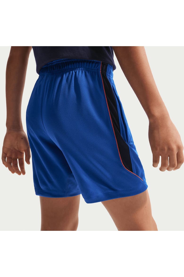 Youth Nike Royal France National Team 2026 Strike Dri-FIT Shorts, Alternate, color, Royal