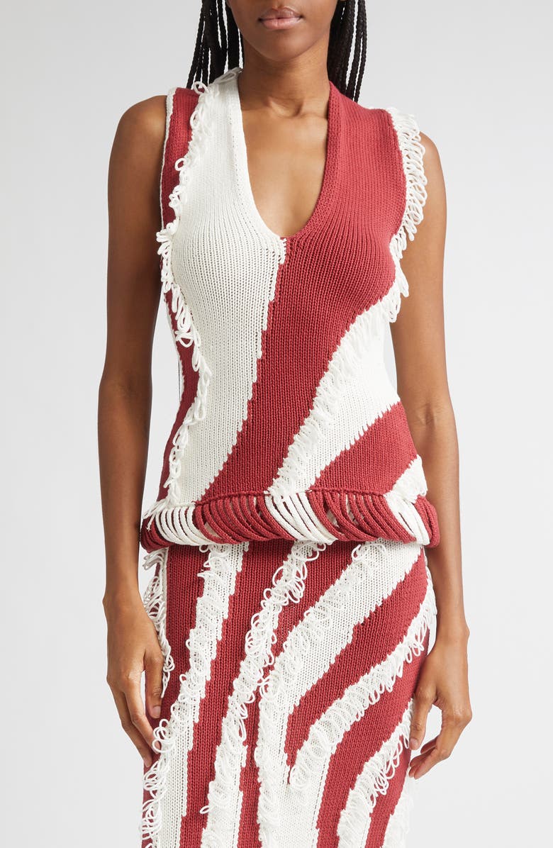 Diotima Roaring Knit Top, Main, color, Paprika-White