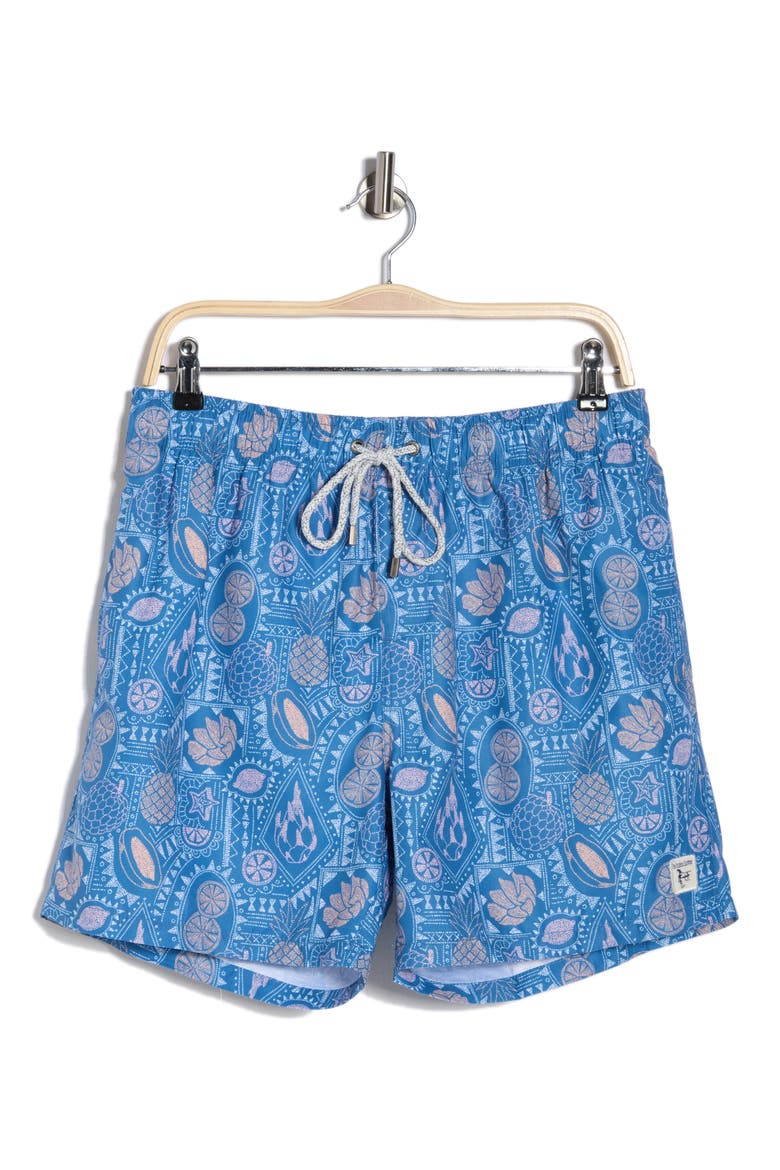 Print Volley Swim Trunks, Alternate, color, BLUE