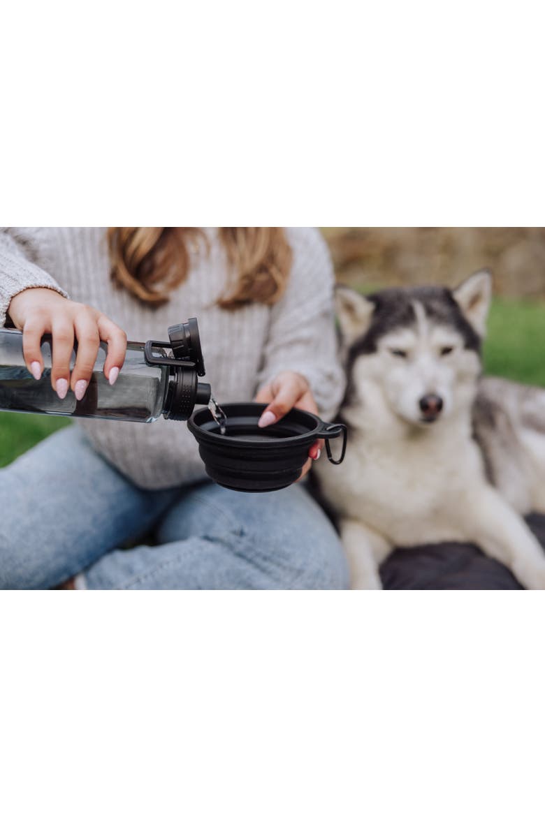 Tarana Dog Travel Kit - Carbon Black, Alternate, color, Halo Gray