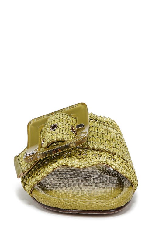 SAM EDELMAN SAM EDELMAN BAMBI RAFFIA BUCKLE SLIDE SANDAL 