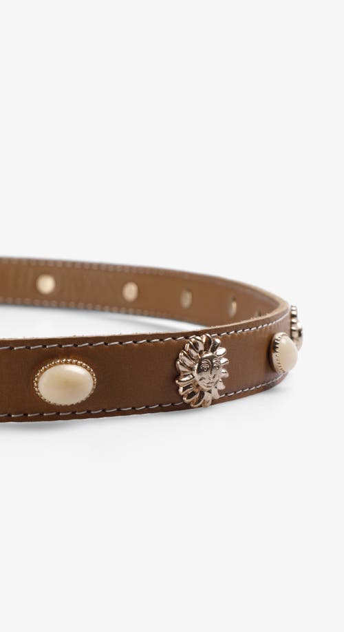 Scalpers Sun Thin Belt In Brown