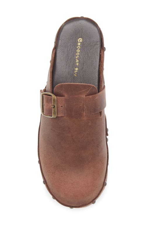 Chocolat Blu Yullia Clog In Brown