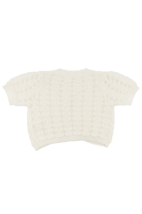 Oh Baby ! Shell Stitch Juliet Pointelle Short Sleeve Cardigan