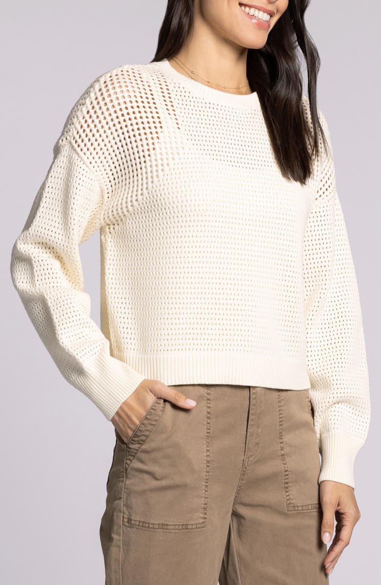 Thread & Supply Jasmine Cotton Mesh Sweater, Alternate, color, Off White