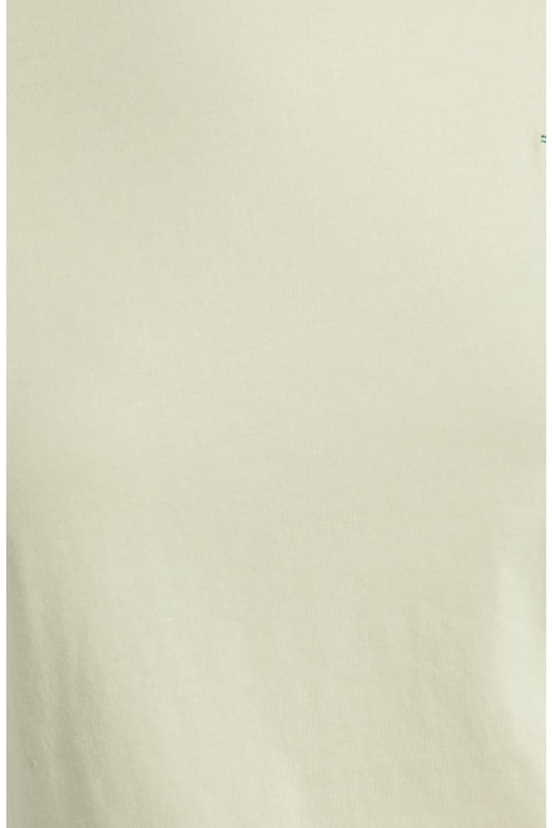Elove Embroidered Short Sleeve Cotton T-Shirt, Alternate, color, CUCUMBER