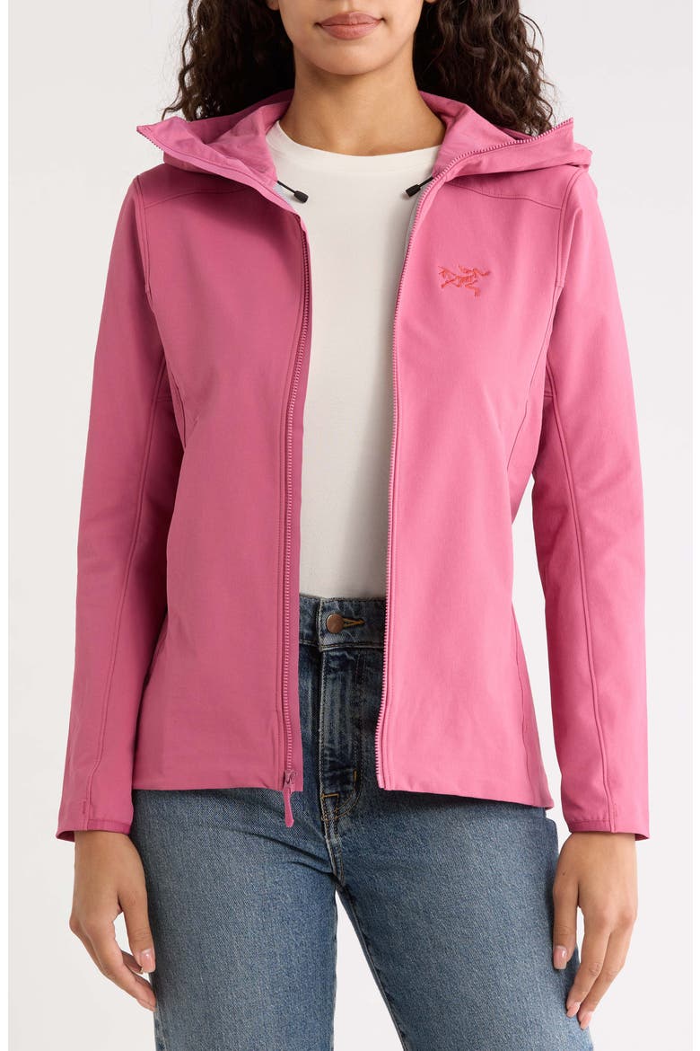 Gamma Performance Hoody, Alternate, color, RENEGADE