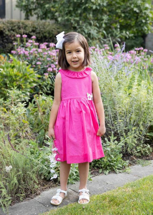 Florence Eiseman Shimmer Stripe Lawn Dress With Flowers In Fuchsia