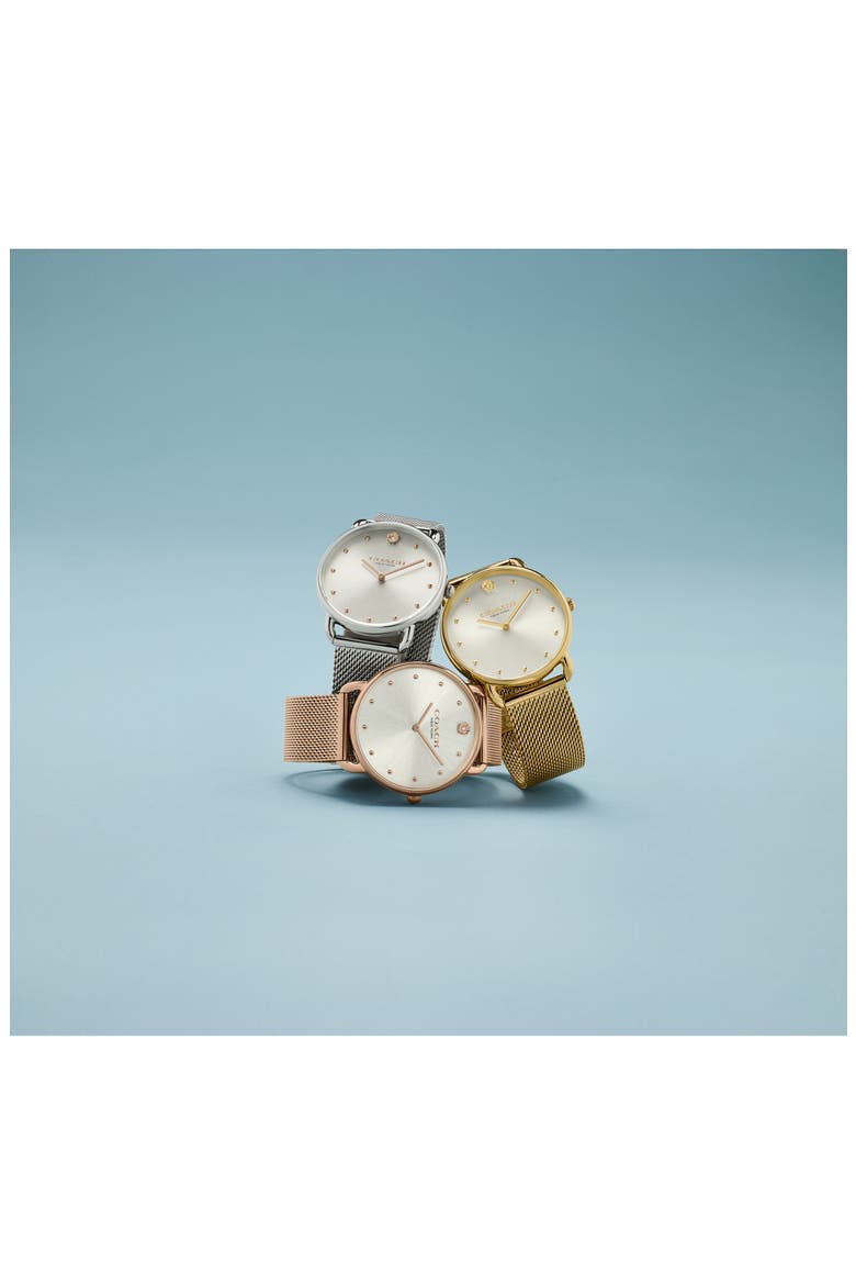 Elliot Mesh Strap Watch, 36mm, Alternate, color, SILVER WHITE