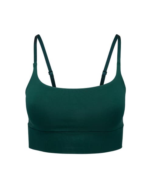 Coolibrium The Contour Bralette Bra In Dark Green