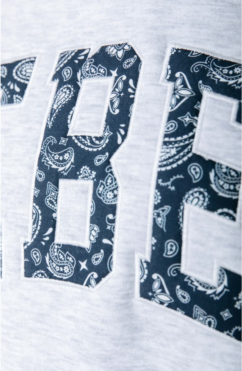 Colourful Rebel Rebel Paisley Patch Dropped Shoulder Sweat, Alternate, color, Light Grey Melange