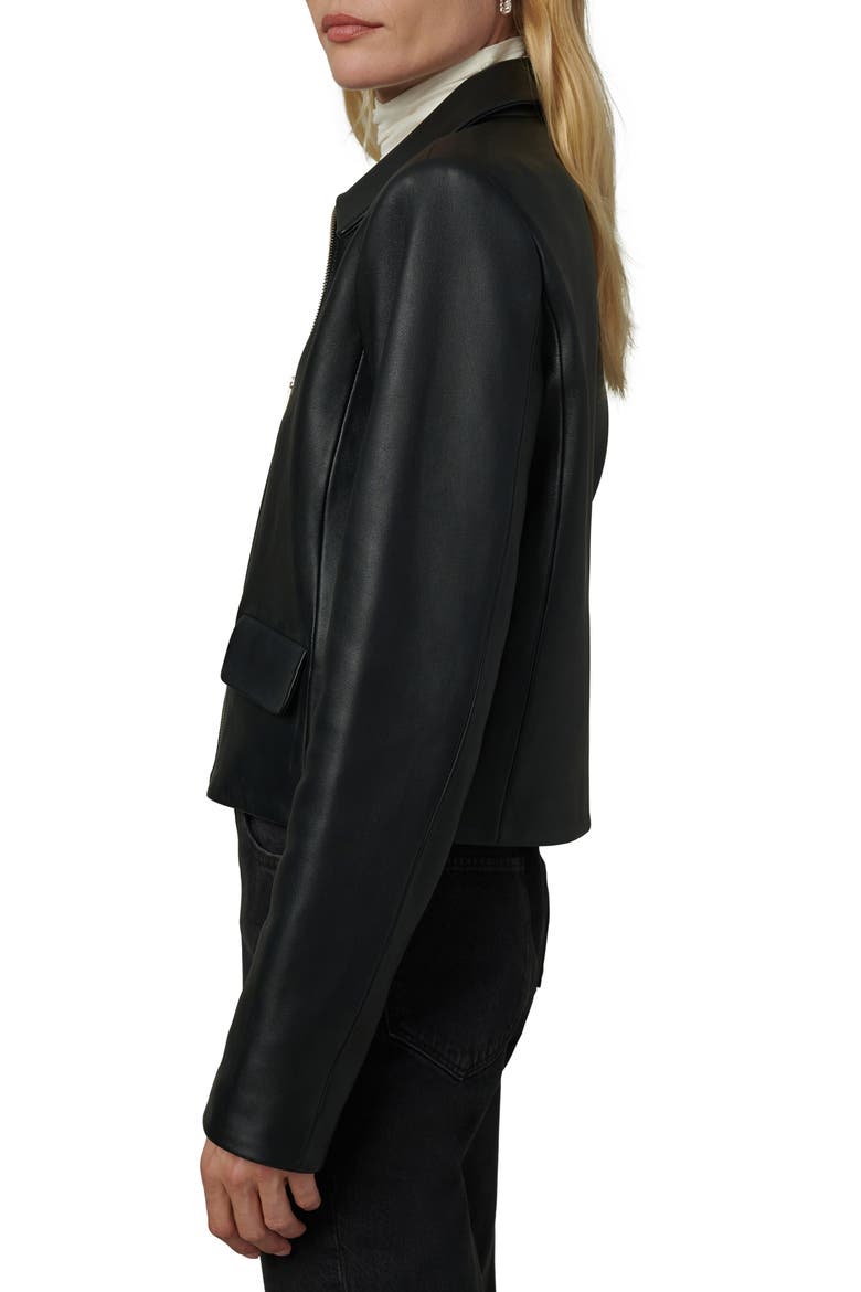 The Dani Michelle Maren Leather Jacket, Alternate, color, BLACK