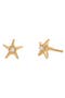 selected Gold Vermeil