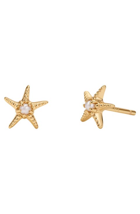 Starfish Stud Earrings