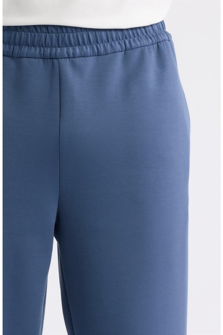 Flex Double Knit Pants, Alternate, color, BLUE VINTAGE