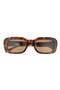 selected Havana Havana Brown