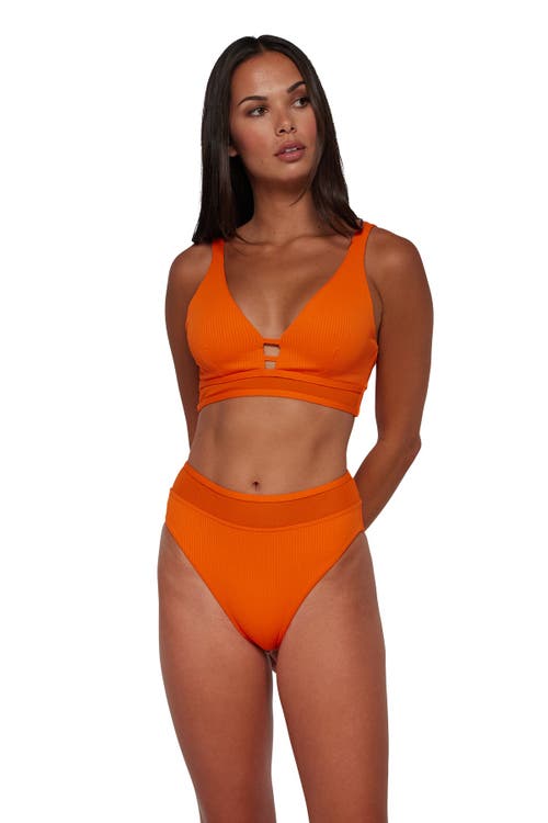 Shop Sunsets Annie High Waist Bikini Swim Bottoms