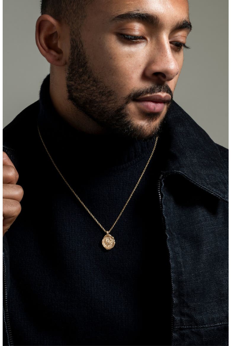 Men's 'Fly High' Phoenix Talisman Necklace, Alternate, color, Yellow Gold Vermeil