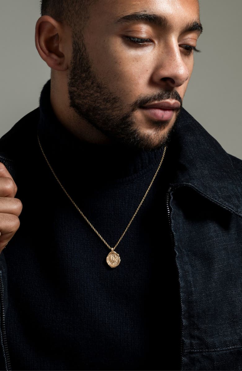 Dower & Hall Men's 'Fly High' Phoenix Talisman Necklace, Alternate, color, Yellow Gold Vermeil